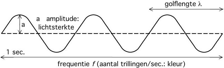 Frequentie
Amplitude
Fase
Golflengte
Golffront